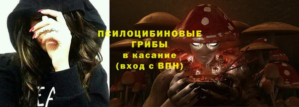 альфа пвп Гусев