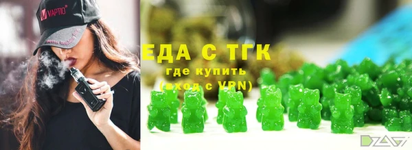 spice Дмитриев