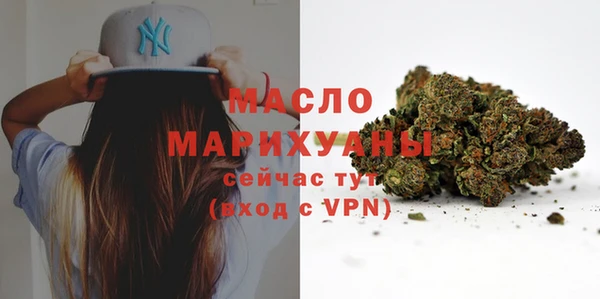 индика Гусиноозёрск