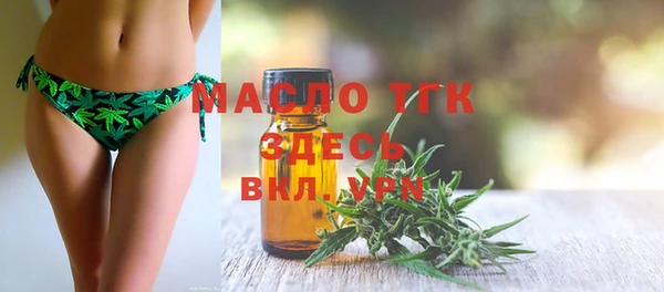 индика Гусиноозёрск