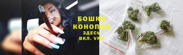 spice Дмитриев