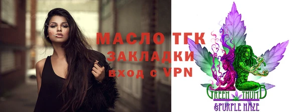 spice Дмитриев