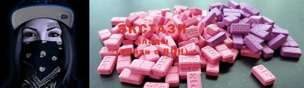 индика Гусиноозёрск
