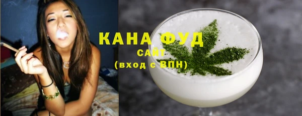 spice Дмитриев