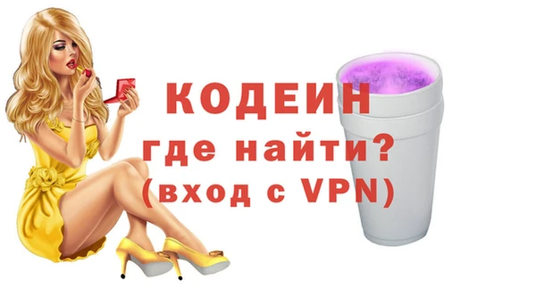 индика Гусиноозёрск