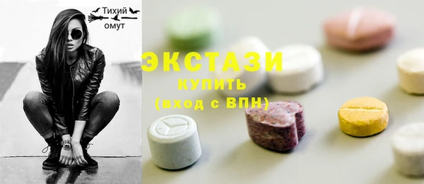 индика Гусиноозёрск
