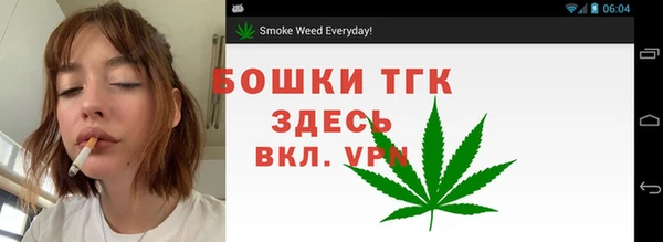 индика Гусиноозёрск