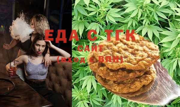 spice Дмитриев